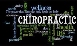 learnaboutchiropractic